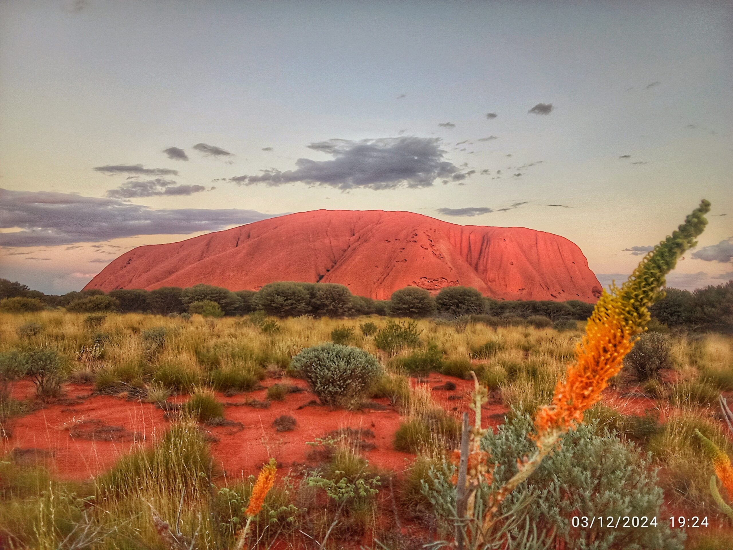 17 – De la terre d&rsquo;Arnhem à la Tasmanie